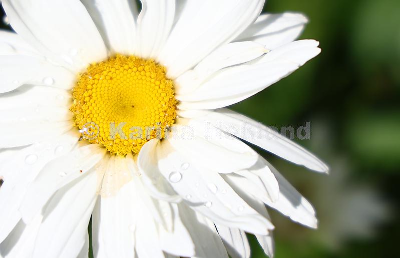 KH250707a025