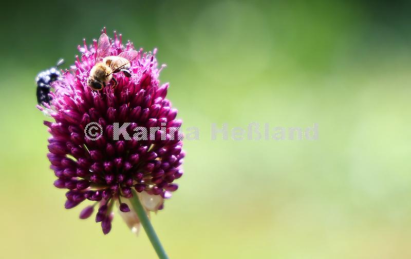 KH250707a026