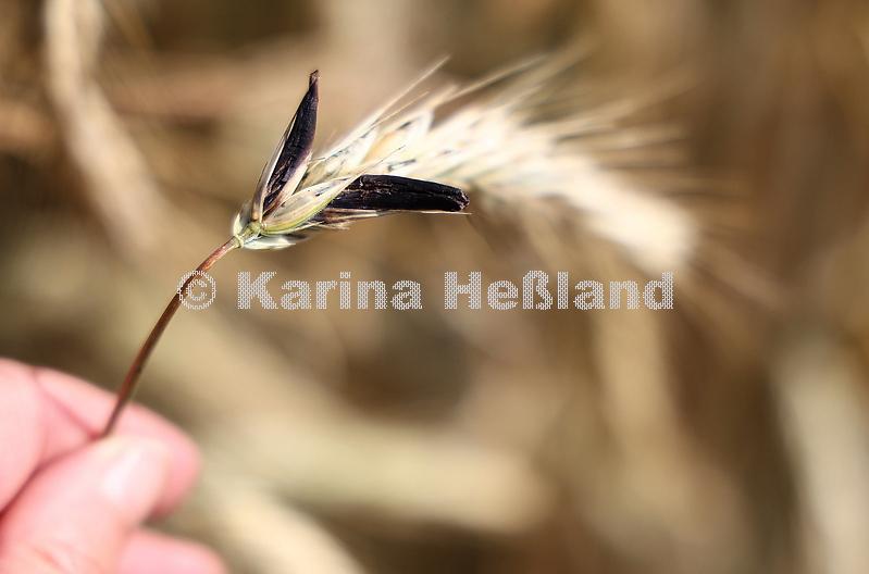 KH250711a007