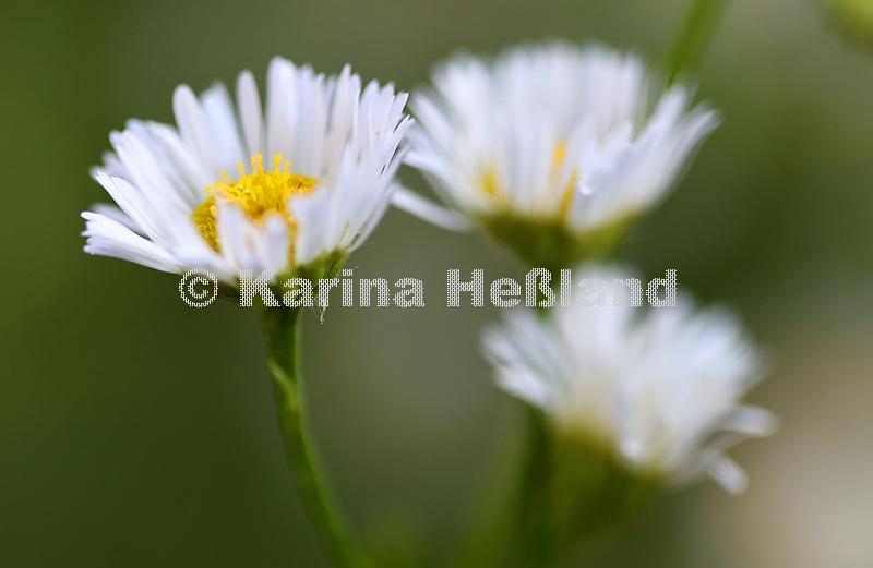 KH250715a004