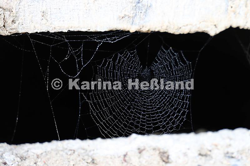 KH250727a019