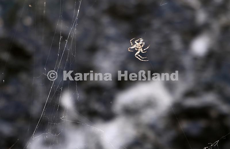 KH250801a011