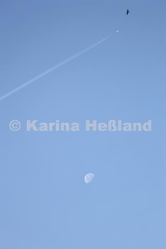 KH250814a008