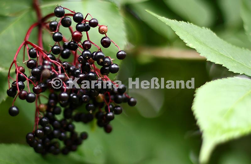 KH250829a012