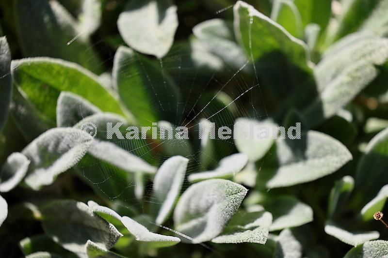KH250919a001