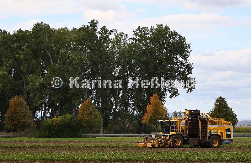 KH250924c008