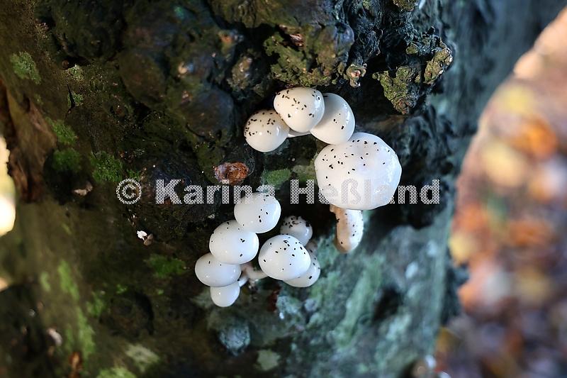 KH251015a022