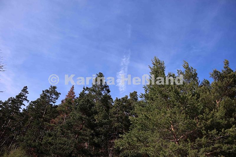 kh260411c003