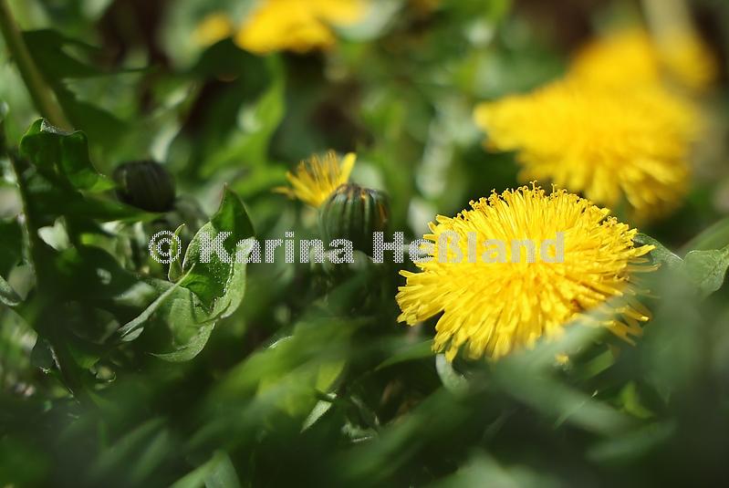 kh260426c001