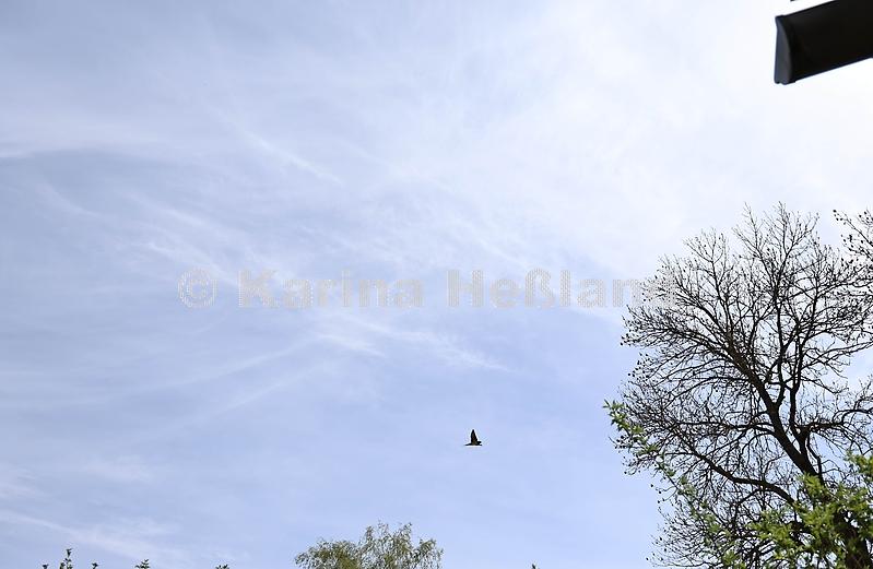 kh260427a007